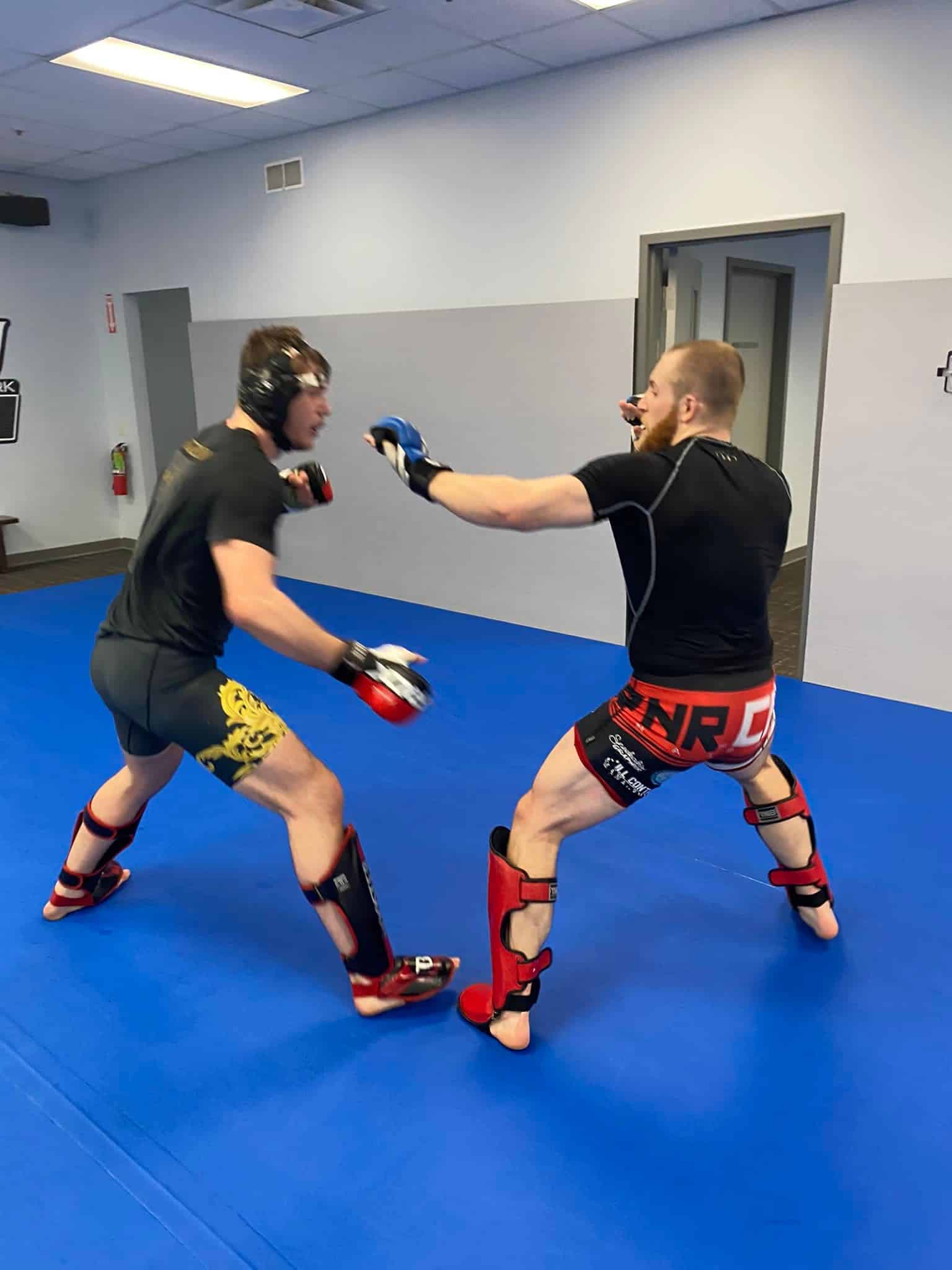 two members in sparring equipment face each other on the mat